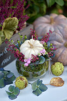 Herbstliches Arrangement mit Mini-Kürbis, Erika (Calluna) und  Schneebeeren (Symphoricarpos), Kastanien und Hortensienblüten (Hydrangea)  auf Gartentisch