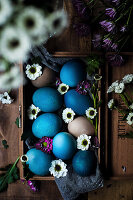 Coloured Easter eggs in blue and natural tones with spring flowers in a wooden box