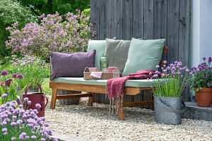 Frühsommer Terrasse mit blühendem Schnittlauch (Allium Schoenoprasum) und  Inkarnat-Klee (Trifolium incarnatum), Zierlauch (Allium)