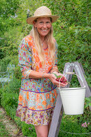 Woman harvesting cherries in enamel bucket in summer garden on ladder