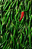 Green bird's eye chillies with a red cayenne pepper pod