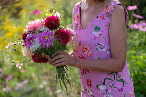 Woman with bouquet of dahlias (Dahlia), roses (Rosa), autumn anemones (Anemone Hupehensis) and wild carrot