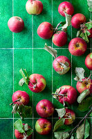 Apples on green tiles