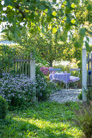 Blick über Zaun zu Sitzplatz im herbstlichen Garten zwischen Astern (Aster)