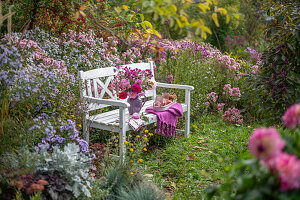 Sitzplatz mit Strauss aus Dahlien (Dahlia), Rosen (Rosa), Astern (Aster) auf Bank vor bunten Blumenbeeten