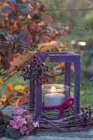 Laterne mit Wildem Wein und Hortensienzweig (Hydrangea), Herbstdeko