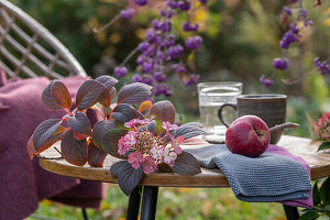 Hortensienzweig (Hydrangea) und Apfel (Mela) auf Tisch im herbstlichen Garten