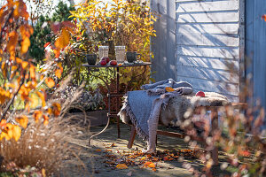 Sitzplatz auf herbstlicher Terrasse im Sonnenlicht