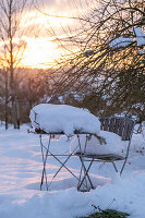 Winter atmosphere in the garden at sunset