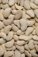 Butter Beans , gigante beans, greek beans, macro beans, beans, white benas, macro shot, beans macro shot, raw butter Beans