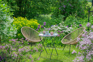 Sitzplatz im Garten mit Sumpf-Wolfsmilch 'Walenburg's Glorie', Zierlauch, Flieder (Syringa), Hortensie (Hydrangea), Schneeflockenstrauch in Blumenbeeten