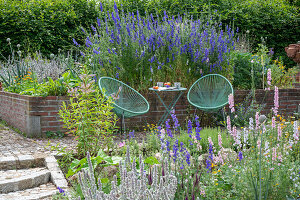 Seating in garden with delphinium, woolly orchid, candelabra speedwell, yarrow