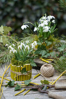 Schneeglöckchen (Galanthus) in DIY-Blumentöpfen aus Bambuszweigen auf Tisch im Garten