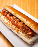 Hot dog with fried onions
