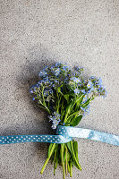 Forget-me-not (Myosotis) - Bouquet with blue dotted ribbon