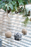 Upcycled fat ball holder made from a metal drain sieve hanging from a beam in the garden, DIY