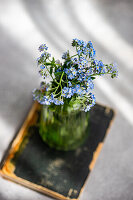 Vergissmeinnicht (Myosotis), Blumenstrauß in grüner Glasvase auf altem Buch