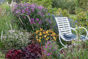 Myrten Aster 'Pink Cloud' (Aster ericoides), Chrysanthemen 'Bienchen' (Chrysantheum), Bartblume, Lampenputzergras im Beet hinter Gartenbank