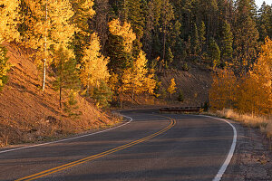 Usa, New Mexico, Santa Fe, Straße und Bäume in Herbstfarben in den Sangre De Cristo Mountains