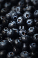 Blueberries with drops of water, close-up