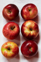 Six red apples on a white background