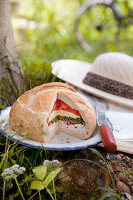 Picnic sandwich bread with tomato and salad