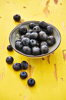 Bowl of fresh blueberries