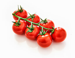 Vine tomatoes on a white background