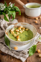 Creamy wild garlic soup with croutons