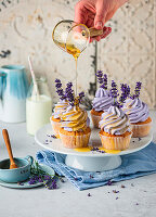 Lavendel-Cupcakes mit Honig