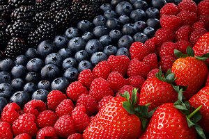 Blackberries, blueberries, raspberries and strawberries