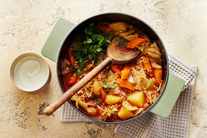 Cabbage soup with oatmeal and vegetables