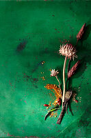 Gewürze, Zitronen und getrocknete Blüten