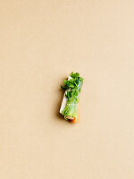 bunch of soup greens with parsley