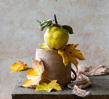 Still life with quince and autumn leaves