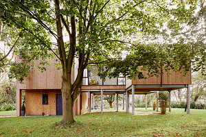 Eco house on stilts with timber cladding and aluminium windows surrounded by greenery