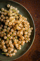 White currants on a ceramic plate