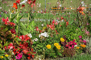 Blumenbeet im Kurgarten im Kurpark Oberlaa, Wien, Österreich