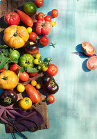 Colourful tomato varieties