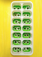 Daisies in ice cube mould