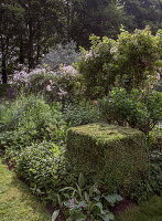 Gepflegtes Gartenbeet mit geschnittenem Buchsbaumwürfel und blühenden Sträuchern