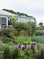 Lush vegetable garden and flowering shrubs in front of conservatory