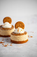 Veganer Lotus-Keks-Cheesecake mit Sahnehaube