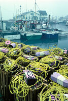 Ropes, traps and fishing boats in the fishing harbour of Sainte-Therese-de-Gaspe in Quebec, Canada; Gaspe, Quebec, Canada