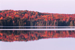 Meech Lake in autumn in Gatineau Park, Quebec; Quebec, Canada