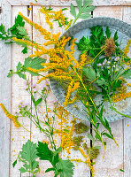 Beifuß, Goldrute und wilde Möhre auf Holzbrett