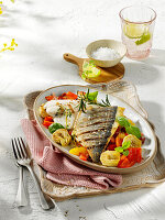 Doradenfilet auf warmem Gemüsesalat
