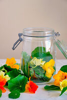 Fermentierte Kapuzinerkresse herstellen