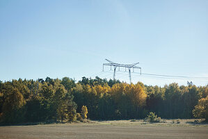 View of forest with electricity pylon in background against blue sky