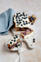 Blaubeer-Kokos-Kuchen mit Frischkäsecreme